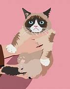 Image result for Grumpy Cat Sitting