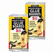 Image result for Glue Boards Pest