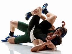 Image result for High School Wrestling Moves List