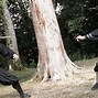 Image result for what is the deadliest martial arts?