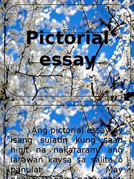 Image result for Pictorial Essay Example