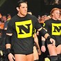 Image result for WWE Nexus Members