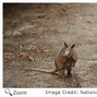 Image result for Armadillo Map