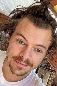 Image result for Harry Hairstyles Long Beard