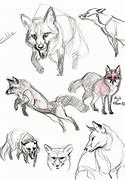 Image result for Fox Drawing Reference