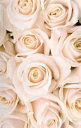 Image result for Beautiful Rose Gold Flowers