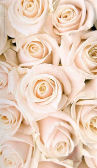 Image result for Rose Gold Background with Flowers
