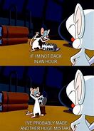 Image result for Pinky and Brain Meme