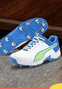 Image result for Cricket Shoes