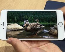 Image result for Photos Taken by iPhone 6s