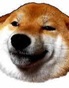 Image result for Shibe Doge Meme