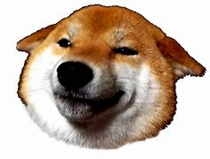 Image result for Roblox MLG Doge
