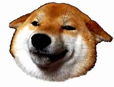 Image result for Dog Face Meme