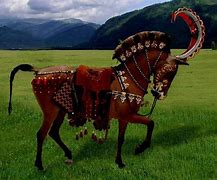 Image result for Scythian Horse
