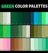 Image result for iPhone 16 Pro Colors