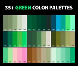 Image result for iPhone 6 All Colors