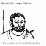 Image result for Cambridge Latin Memes