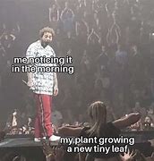 Image result for Office Plant Meme