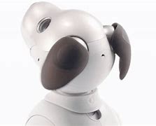 Image result for Japanese Companion Robot