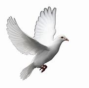Image result for Rip Bird. Emoji