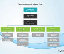 Image result for E Sport Company Organization Chart