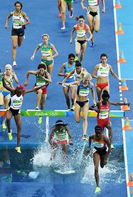 Image result for Steeplechase Water Jump