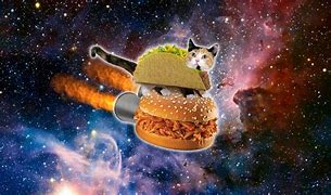 Image result for Taco Cat Galaxy