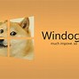 Image result for Win Doge Meme