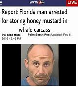 Image result for Florida Man Gator Meme