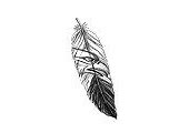 Image result for Eagle Feather Drawing