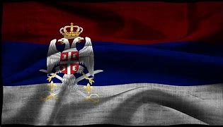 Image result for Serbian Bird Flag