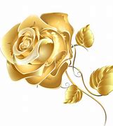 Image result for Gold Rose Corner