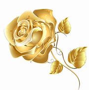 Image result for Red and Gold Roses