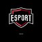 Image result for Premium eSports Text Logo