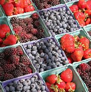 Image result for Organic Farmers Market