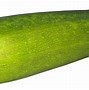 Image result for Zucchini Clip Art Free