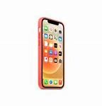 Image result for iPhone 12 Skin Templat