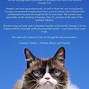 Image result for Grumpy Cat Memes Pictures That Is a Circle
