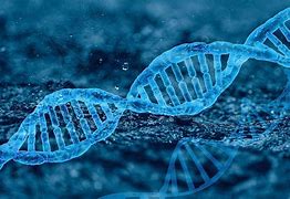 Image result for A Gene Is