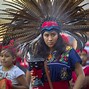 Image result for Indigenous American