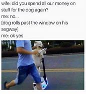 Image result for Spending Money On My Dog Memes