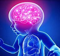 Image result for Brain Growth