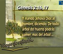 Image result for Genesis 2:16-17