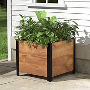 Image result for 1 Metre Square Planters