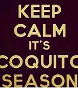 Image result for coquuto