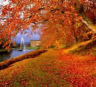 Image result for Wallpapers for Desktop Fall Theme