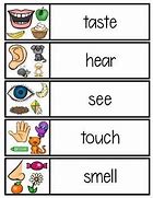 Image result for 5 Senses Vocabulary