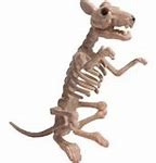 Image result for Rat Scary Toy