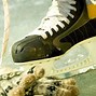 Image result for How to Sharpen Ice Skates