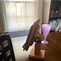 Image result for Wooden iPad Adjustably Stand